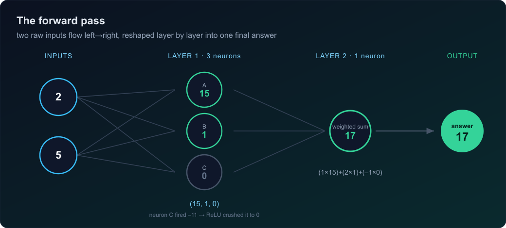Forward pass trace: inputs (2, 5) flow through a 3-neuron layer producing (15, 1, 0), then a single output neuron pools them into the final answer 17.