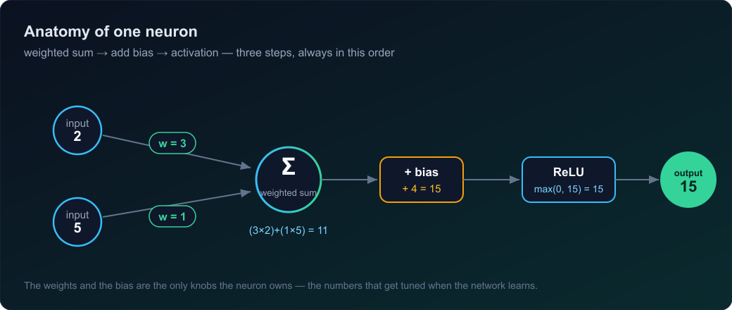 Diagram of one neuron: two inputs multiplied by weights, summed to 11, plus a bias of 4 giving 15, passed through ReLU to an output of 15.
