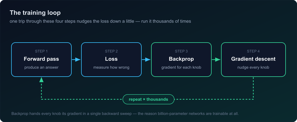 The training loop: forward pass to produce an answer, loss to measure wrongness, backpropagation to get every gradient, gradient descent to nudge every knob, then repeat thousands of times.